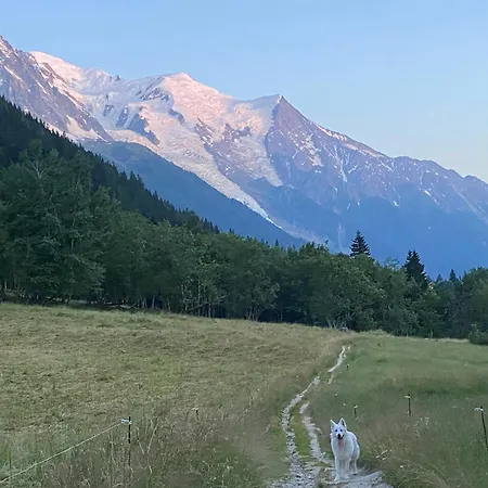 아파트 Exceptionnel Au Lavancher A *